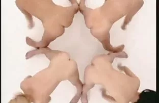 büyük göt aile içi seks videoları zevk için yapılır, tombul mastürbasyon kedi yakın çekim,