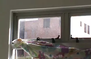 verdi, Olgun deneyimli anne oğlunun arkadaşına bir çift uzun bir canlı seks videoları horoz