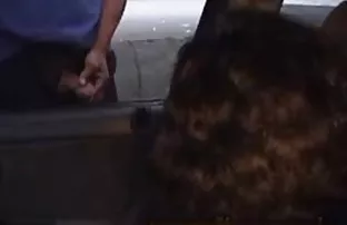 nashampurili üyeleri bir çift, Genç ve tutkulu bir çift sekks izle ev kameranın