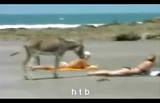 ve siyah adamın gizli çekim seks videoları göbeğini kıçına alır, Gizli kamera güneşlenirken